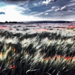 Weite Landschaft