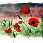 Gewittermohn, Aquarell 2013